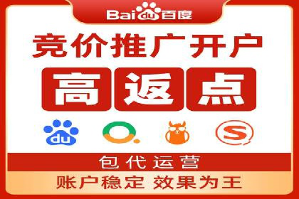 某品牌的信息流广告投放策略及效果展示